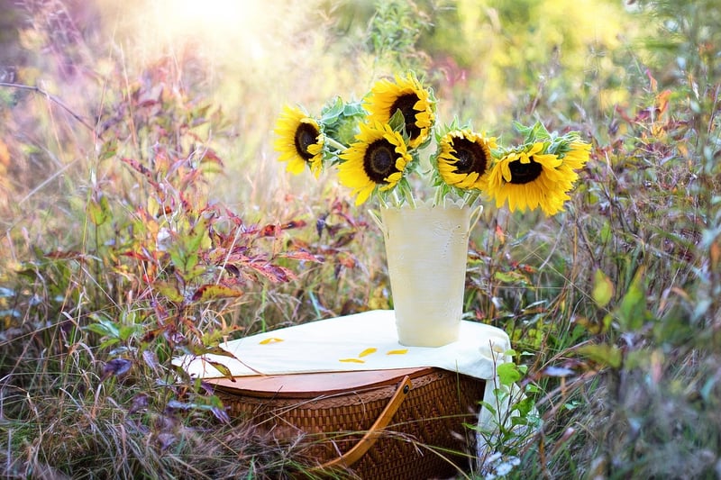 Summer flowers