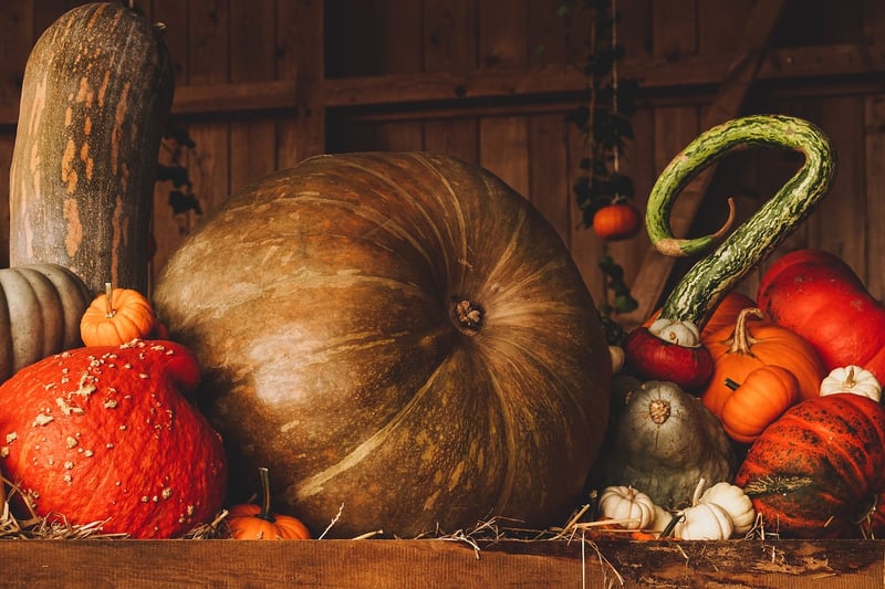 Fall pumpkin
